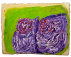 These flowers are not identical